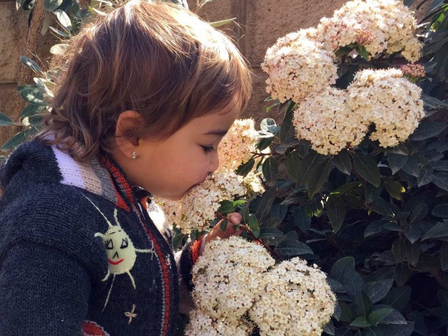 Niña oliendo flores en época de alergias