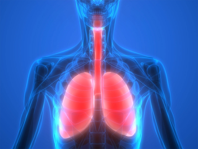Render sistema respiratorio
