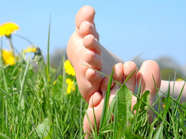 planta-pies-campo